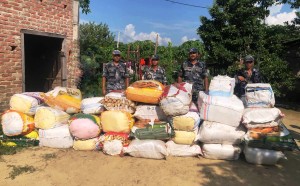 रुपन्देहीबाट ३० लाखको लत्ताकपडा बरामद, मकवानपुरमा कन्टेनरसहित ९२० किलो गाँजा नियन्त्रणमा