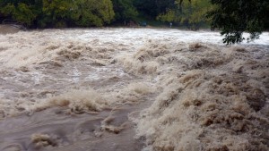 बाढीले बगाउँदा शिक्षकको मृत्यु, ६ जना घाइते