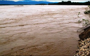 नारायणीमा डुबेर सहोदर दाजुभाइको मृत्यु