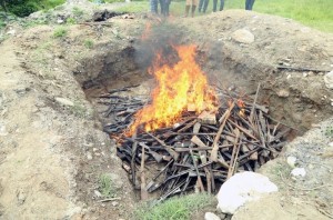 प्रहरीले जलाएर नष्ट गर्यो करिव ९ हजार हतियार