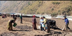 सामूहिक खेतीबाट आत्मनिर्भर बन्दै तालगाउँका महिला समूह