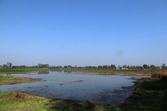 पुरैनी तालमा किन घट्न थाल्दैछ चराको संख्या?