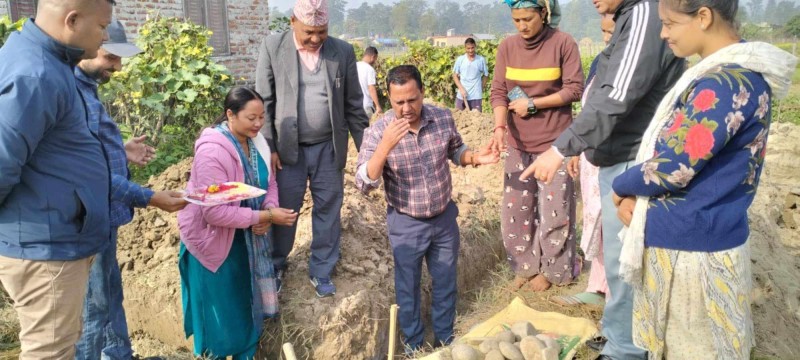 राप्तीसोनारी गाउँपालिकाले विपन्न परिवारलाई घर बनाइदिँदै